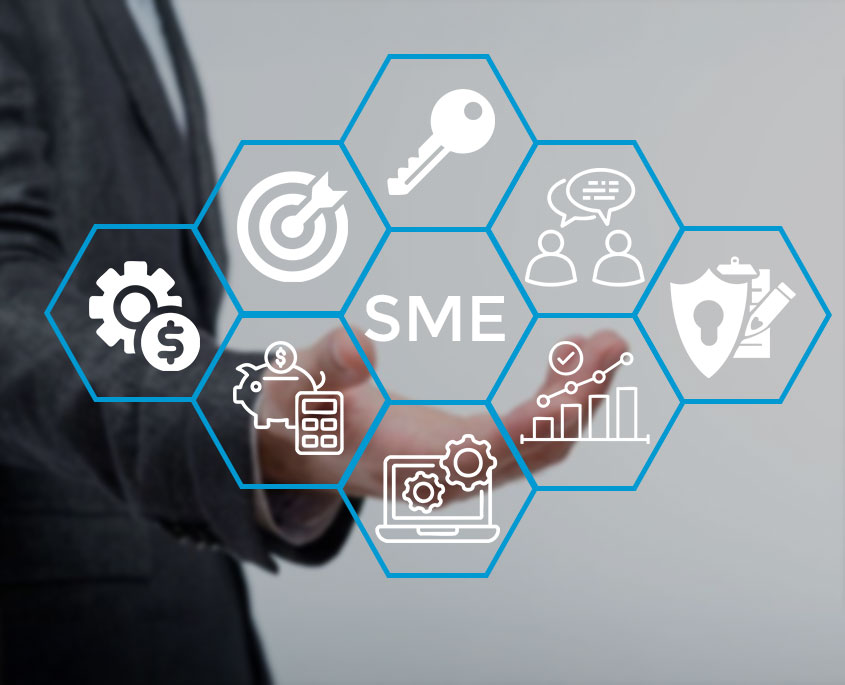 Automating Success: Tailored Solutions for SMEs